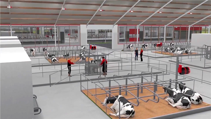 奶牛养殖基地-三维建筑动画